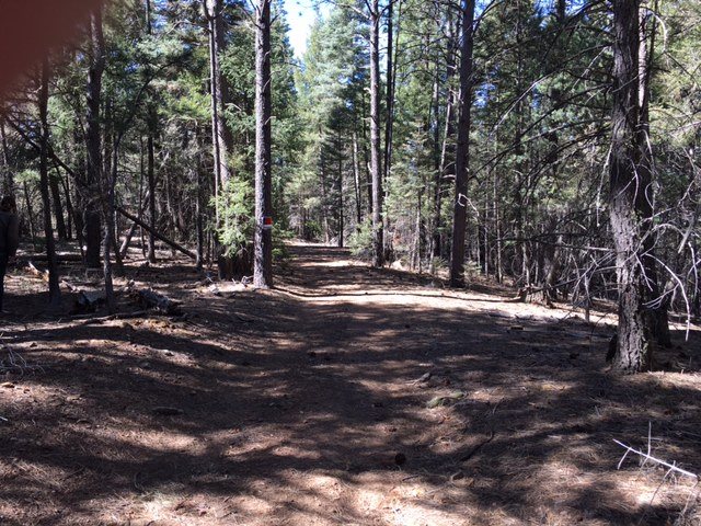 Sawyer Mesa NM Highway 63, Pecos, NM 87552