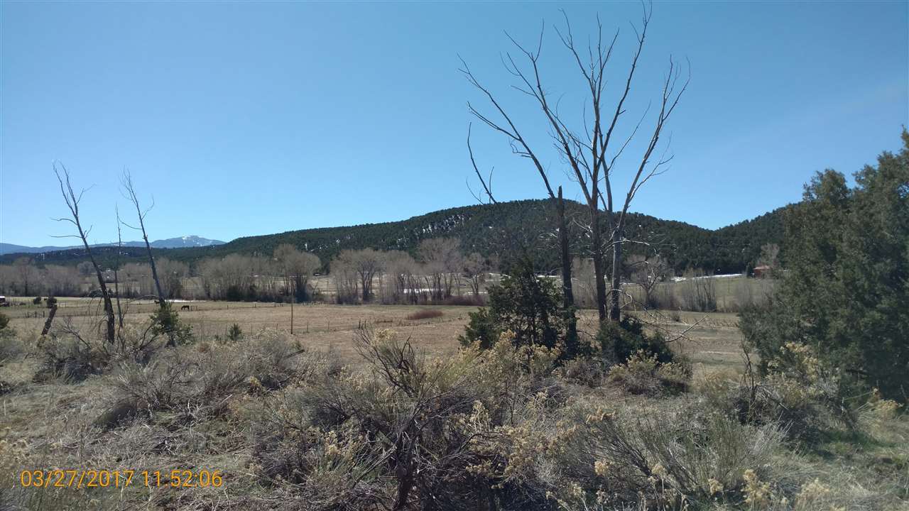 1145 NM State Road 75, Penasco, NM 87553