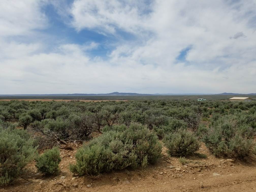 Tr C Camino de Los Vecinos, Ranchos De Taos, NM 87557