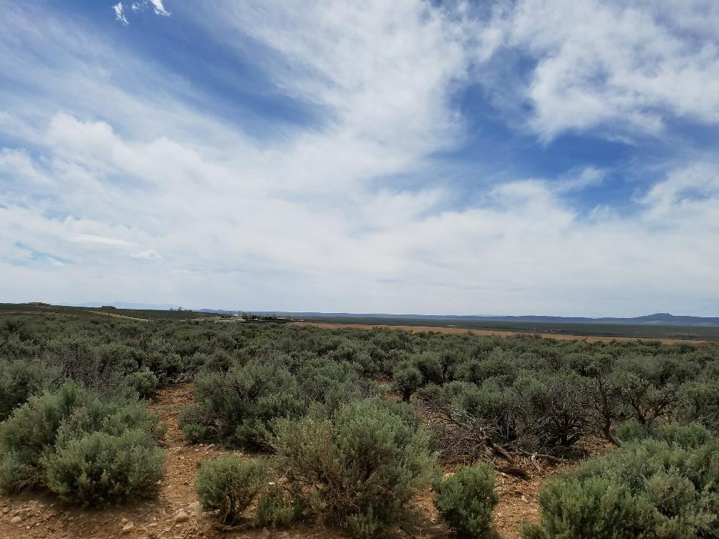 Tr C Camino de Los Vecinos, Ranchos De Taos, NM 87557