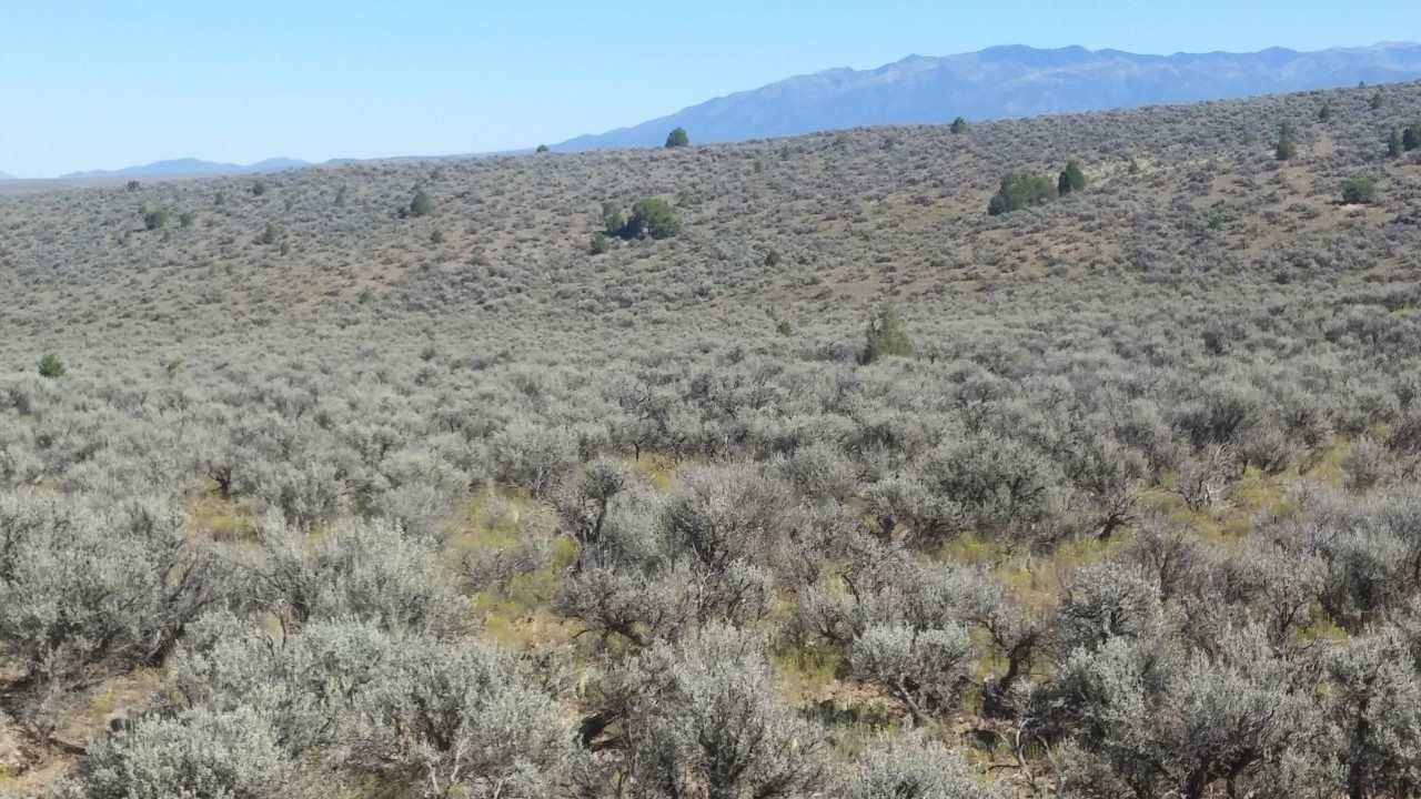 Lot B Spirit Dog Road, Ranchos De Taos, NM 87557