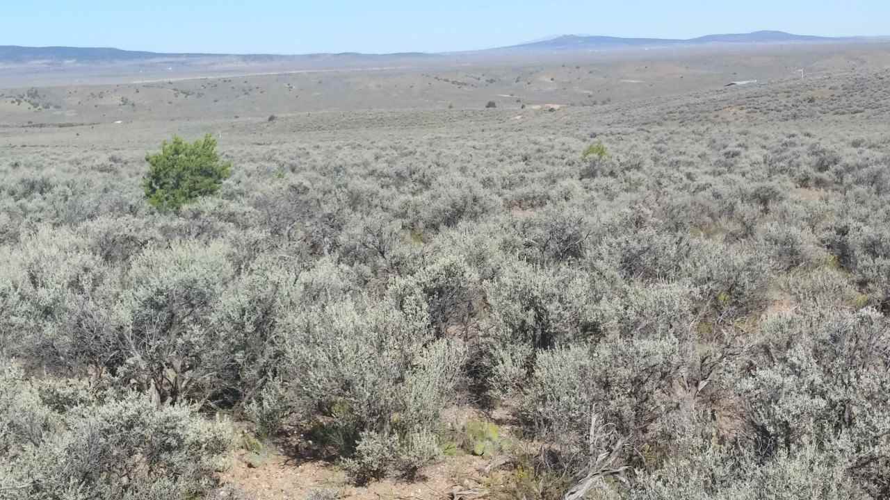 Lot B Spirit Dog Road, Ranchos De Taos, NM 87557
