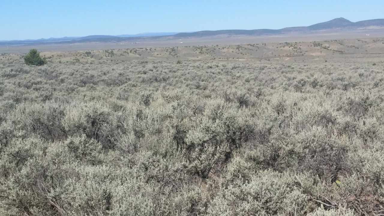 Lot B Spirit Dog Road, Ranchos De Taos, NM 87557