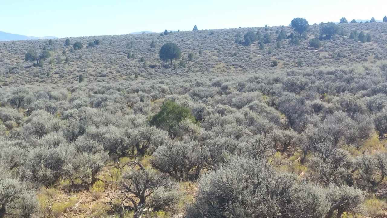 Lot B Spirit Dog Road, Ranchos De Taos, NM 87557
