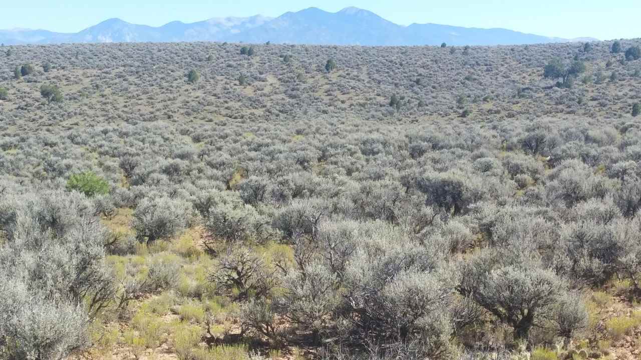 Lot B Spirit Dog Road, Ranchos De Taos, NM 87557
