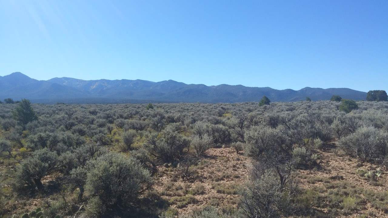 Lot B Spirit Dog Road, Ranchos De Taos, NM 87557