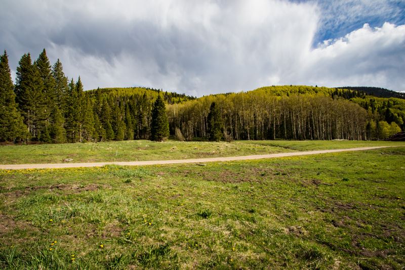 31 Mountain View Rd, Red River, NM 87558