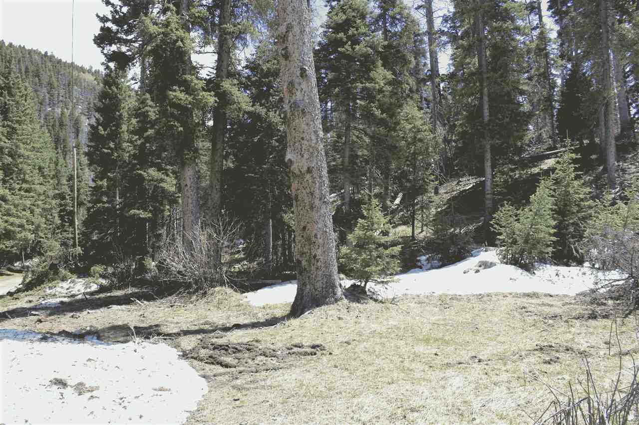 LOT 23 Hidden Valley, Red River, NM 87558