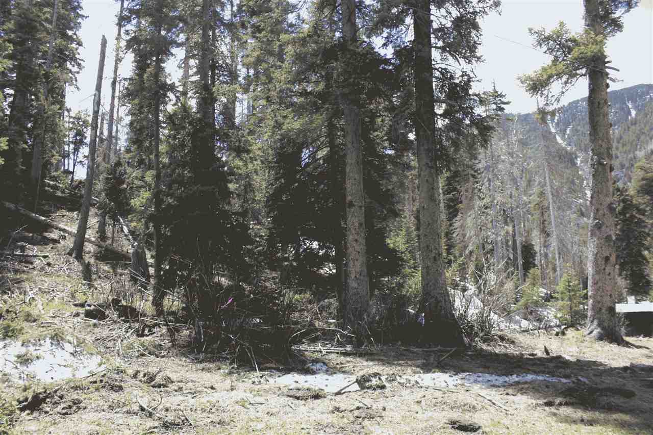LOT 23 Hidden Valley, Red River, NM 87558