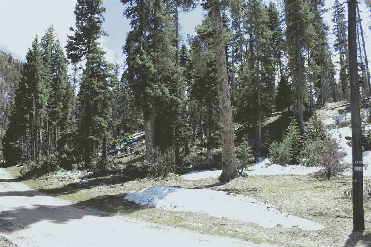 LOT 23 Hidden Valley, Red River, NM 87558