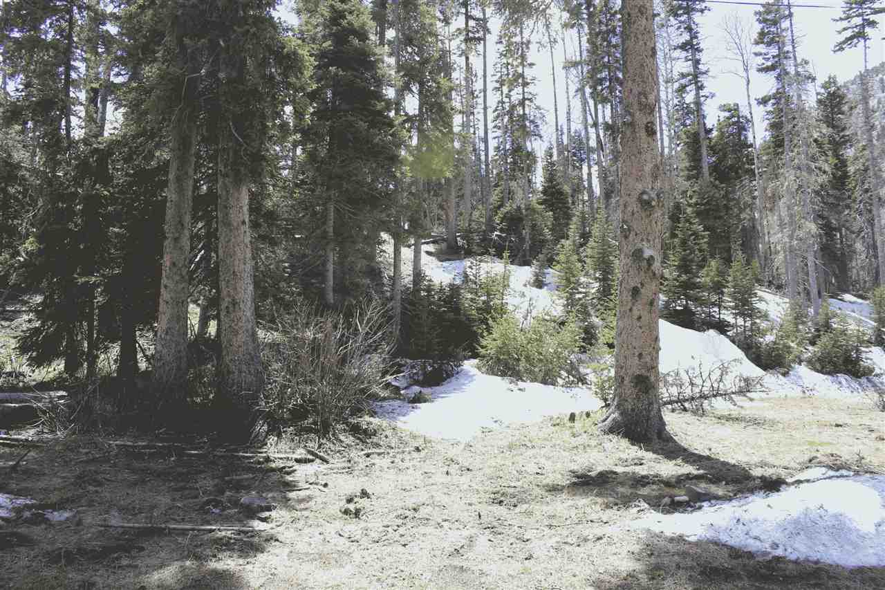 LOT 23 Hidden Valley, Red River, NM 87558