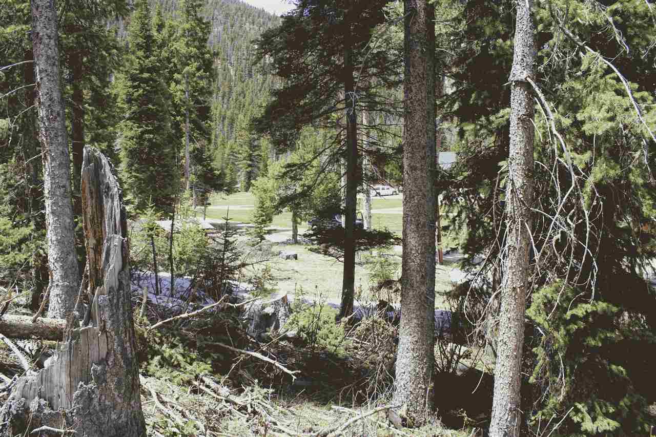 LOT 23 Hidden Valley, Red River, NM 87558