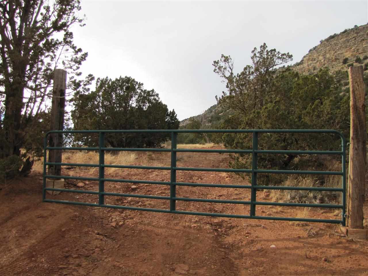 Tract 6 A1 SMCR B31A Gonzales Ranch, Ribera, NM 87560