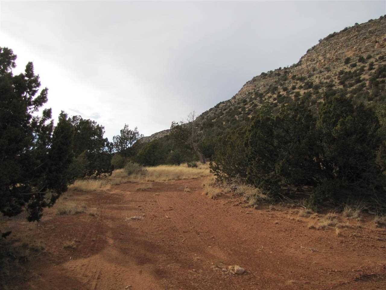 Tract 6 A1 SMCR B31A Gonzales Ranch, Ribera, NM 87560