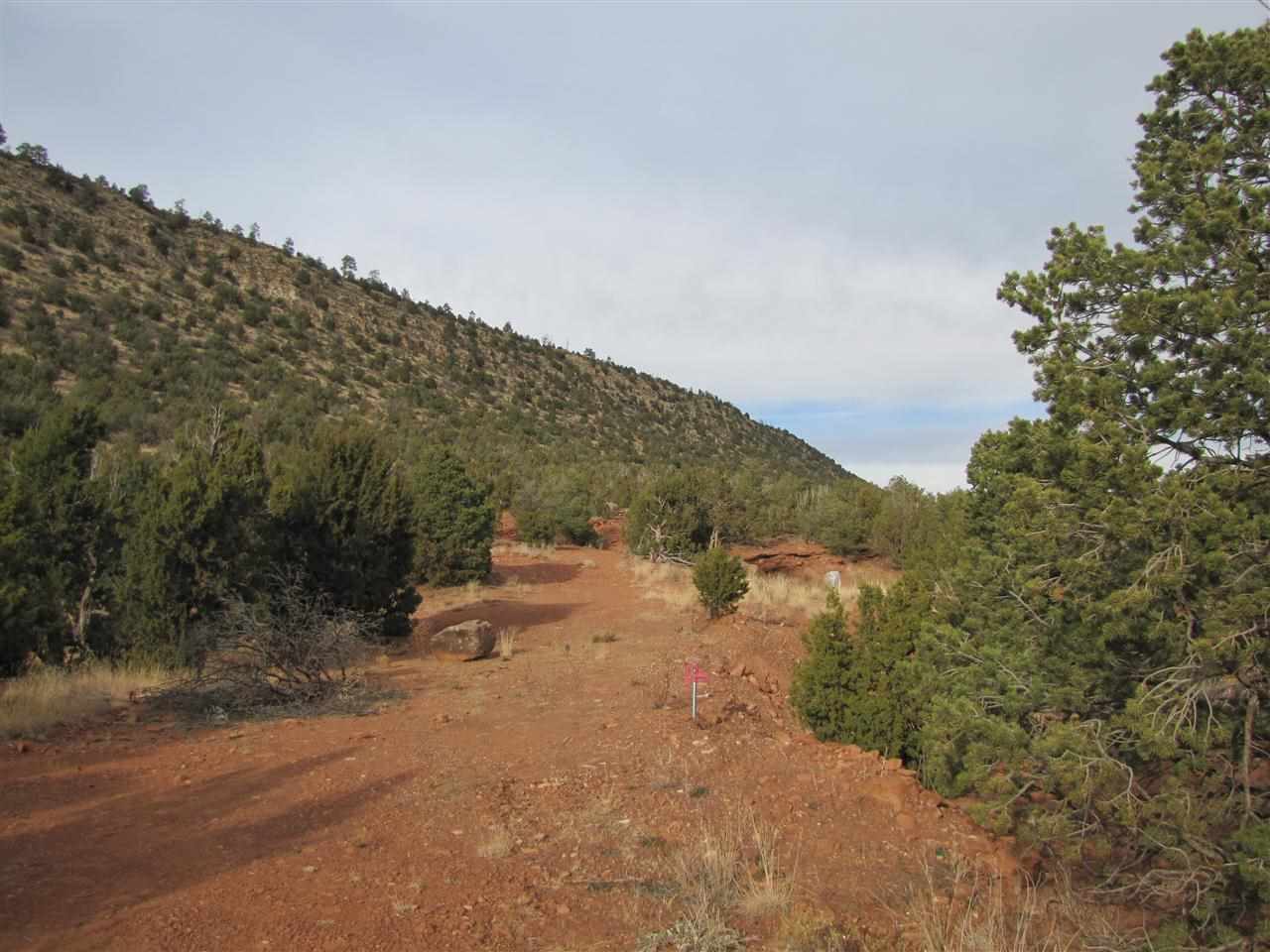 Tract 6 A1 SMCR B31A Gonzales Ranch, Ribera, NM 87560