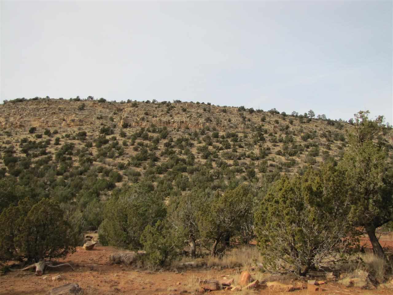 Tract 6 A1 SMCR B31A Gonzales Ranch, Ribera, NM 87560