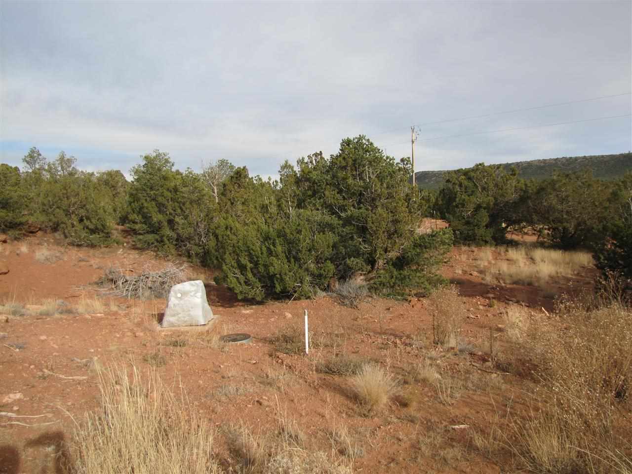 Tract 6 A1 SMCR B31A Gonzales Ranch, Ribera, NM 87560