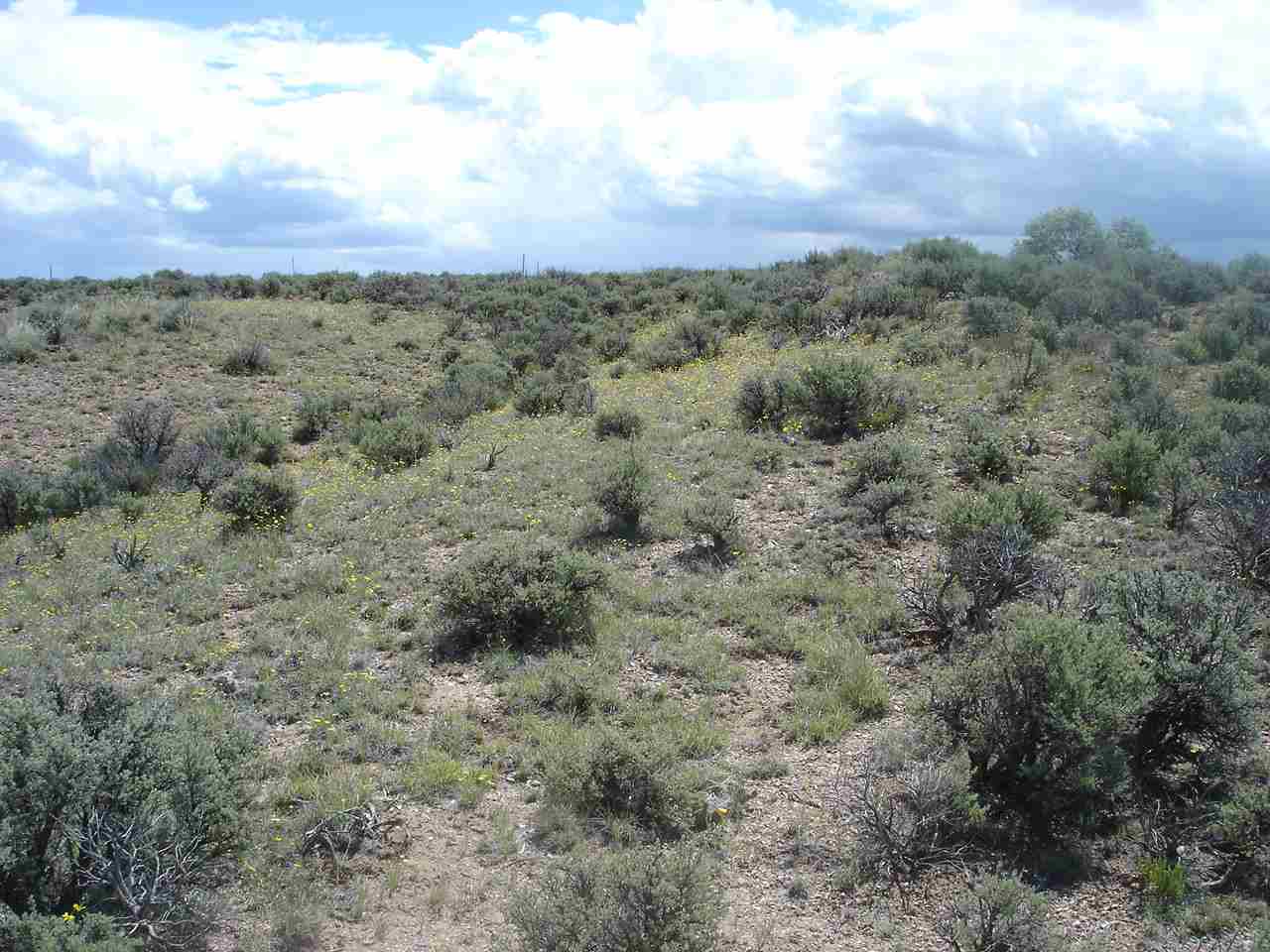 * County Road 110, Taos, NM 87571