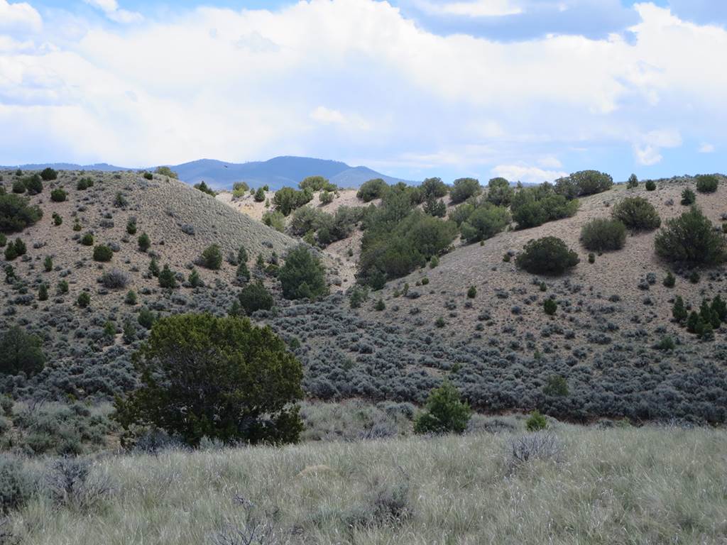 Lot C Nighthawk Trail, Taos, NM 87571