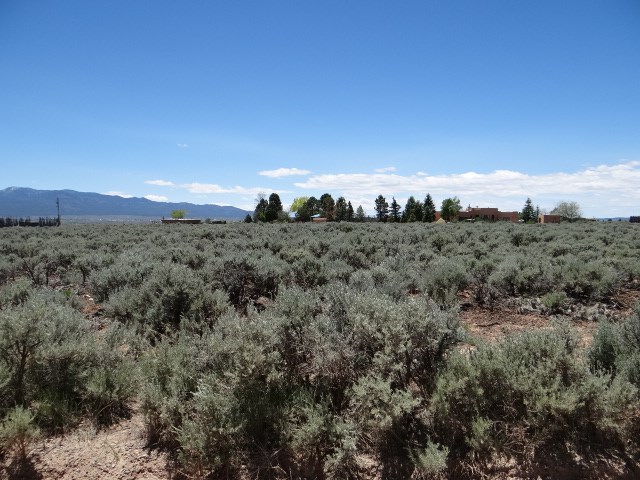 1 Acre Mesa Vista Road, Taos, NM 87571