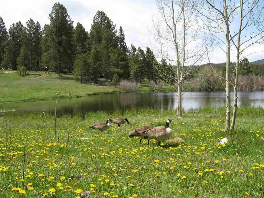 Lots 9 &amp; 10 Clint Drive, Taos, NM 87571