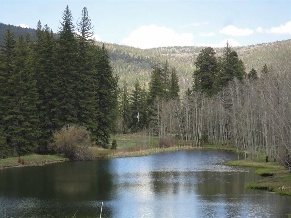 Lots 9 & 10 Clint Drive, Taos, NM 87571