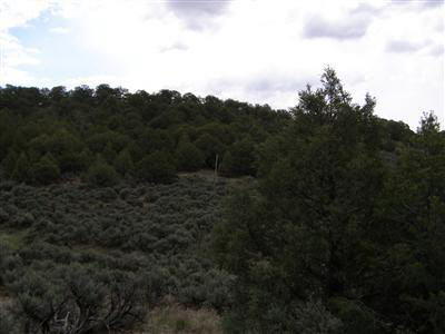 Lot 8E Unit 1, Talavera, Tierra Amarilla, NM 87575