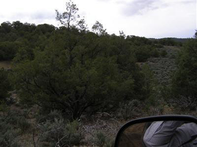 Lot 8E Unit 1, Talavera, Tierra Amarilla, NM 87575