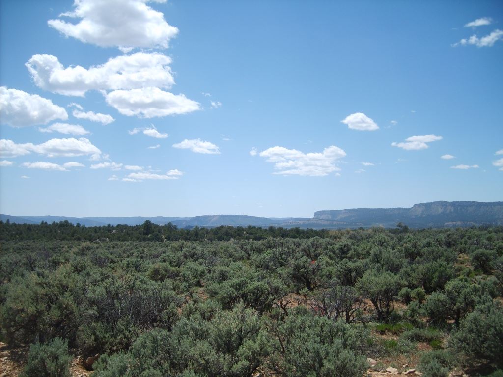 Lot 99, Unit 6. EL VADO S/D, Tierra Amarilla, NM 87575