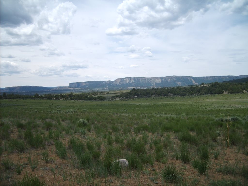 Lot 99, Unit 6. EL VADO S/D, Tierra Amarilla, NM 87575