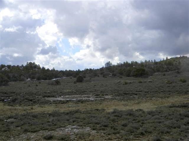 Lot 39 Tract 2, Ensenada, NM 87575