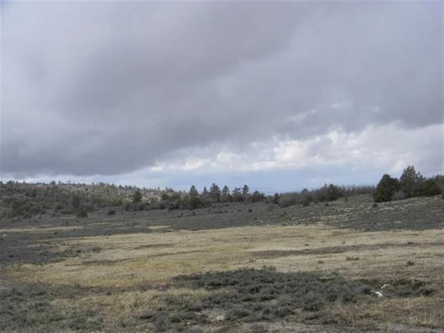 Lot 39 Tract 2, Ensenada, NM 87575
