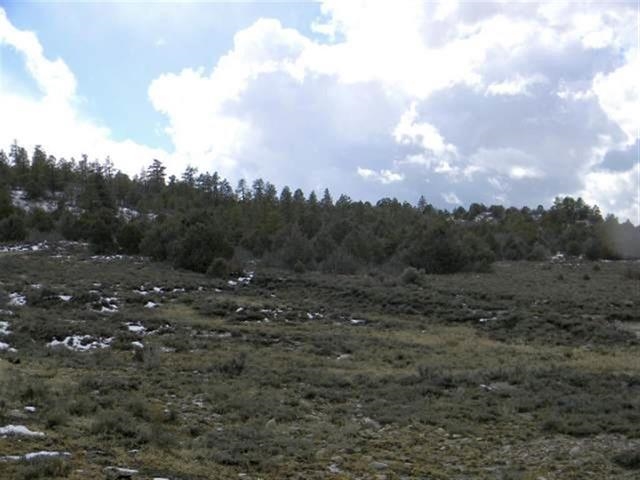 Lot 39 Tract 2, Ensenada, NM 87575