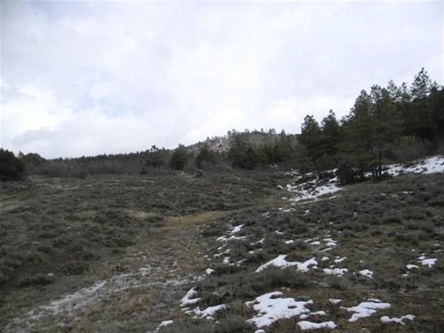 Lot 39 Tract 2, Ensenada, NM 87575
