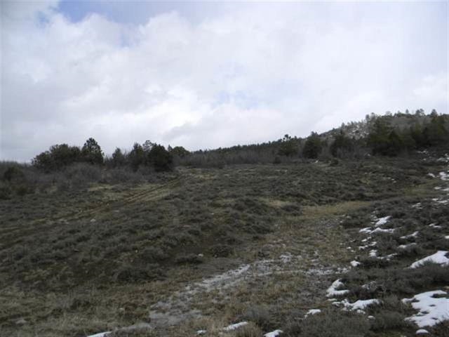Lot 39 Tract 2, Ensenada, NM 87575