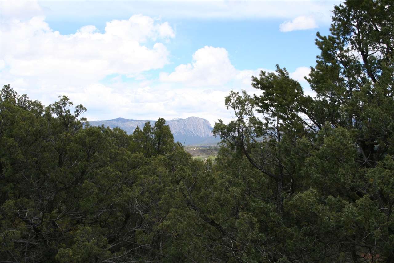 PARK VIEW, Tierra Amarilla, NM 87575