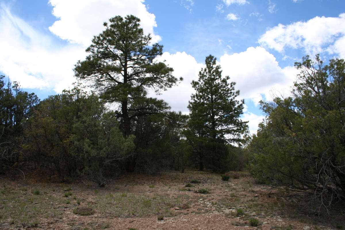 PARK VIEW, Tierra Amarilla, NM 87575