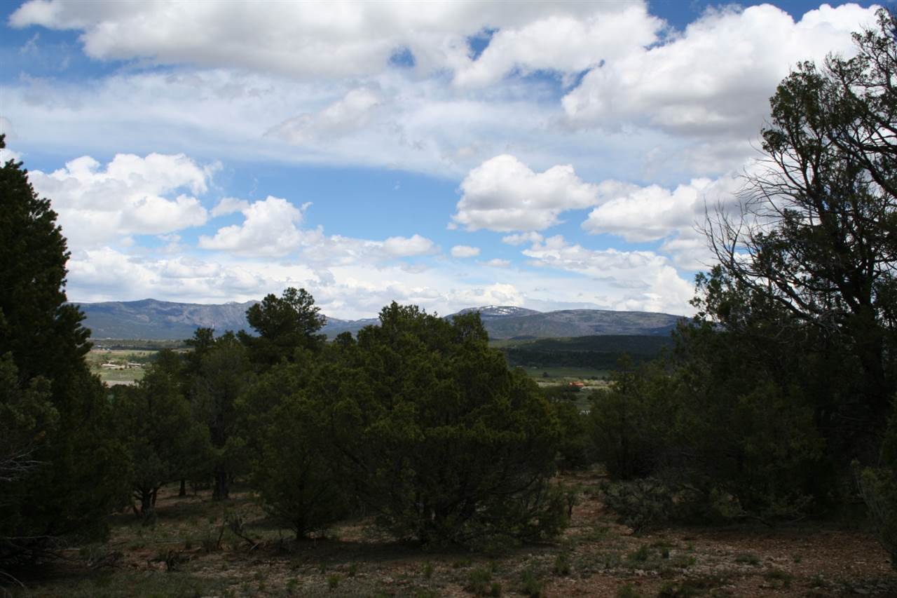 PARK VIEW, Tierra Amarilla, NM 87575