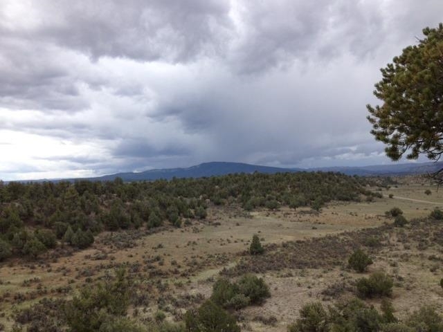 Unit 9, Lot 144, Tierra Amarilla, NM 87575