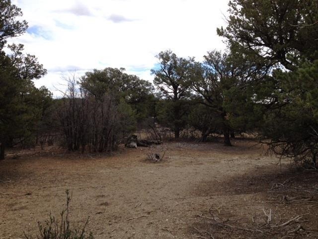 Unit 9, Lot 144, Tierra Amarilla, NM 87575