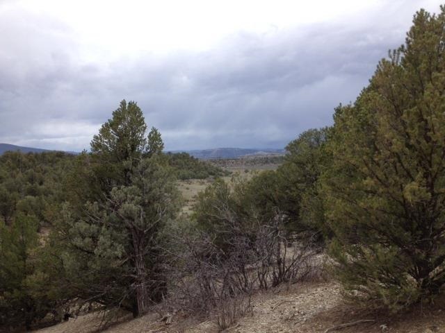 Unit 9, Lot 144, Tierra Amarilla, NM 87575