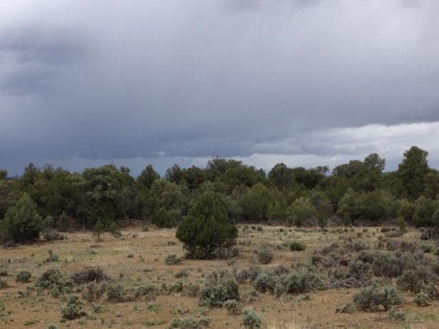 Unit 9, Lot 144, Tierra Amarilla, NM 87575