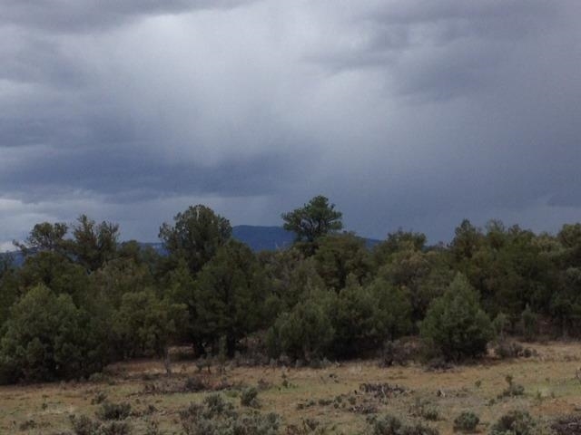 Unit 9, Lot 144, Tierra Amarilla, NM 87575