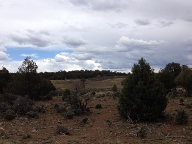 Unit 9, Lot 144, Tierra Amarilla, NM 87575