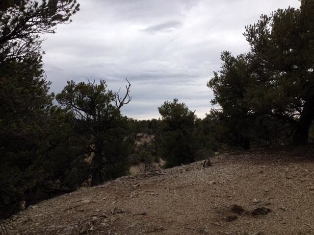 Unit 9, Lot 144, Tierra Amarilla, NM 87575