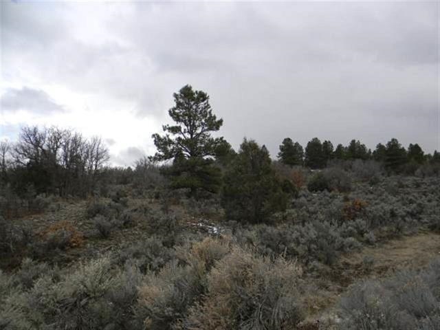Lot 10, Tract 1, Ensenada, NM 87575