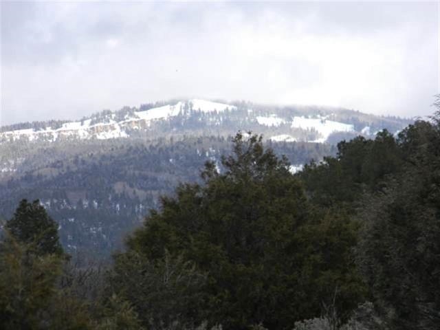 Lot 10, Tract 1, Ensenada, NM 87575