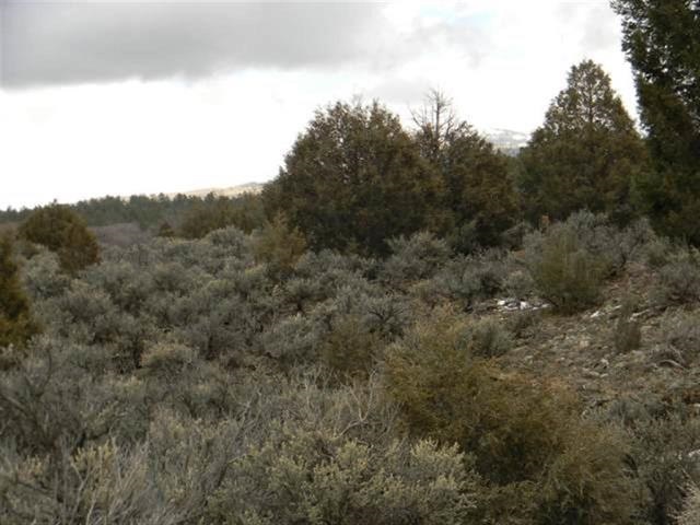 Lot 10, Tract 1, Ensenada, NM 87575