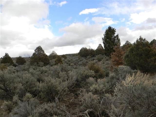 Lot 10, Tract 1, Ensenada, NM 87575