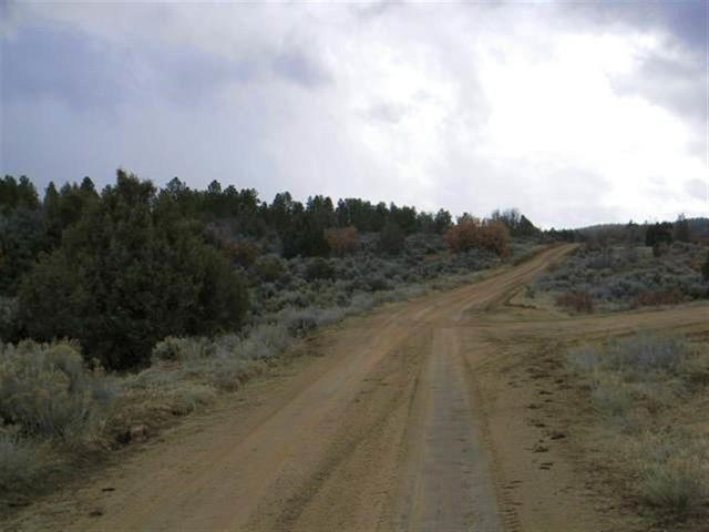 Lot 10, Tract 1, Ensenada, NM 87575